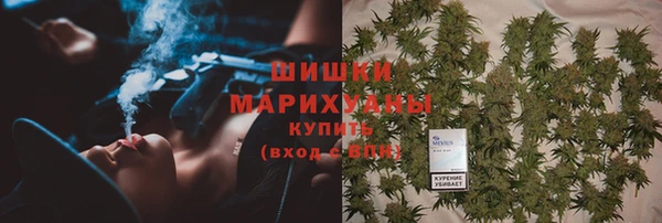 крисы Баксан