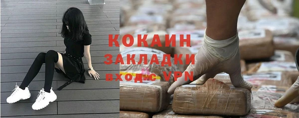 крисы Баксан