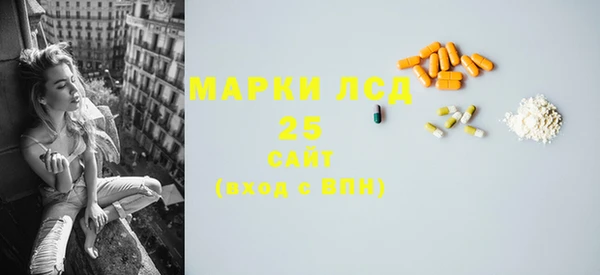 крисы Баксан