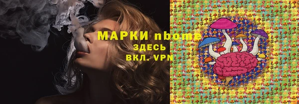 крисы Баксан