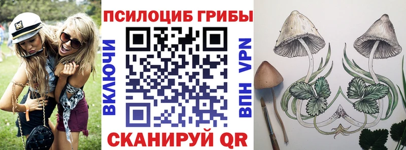МЕГА ссылка  Лабытнанги  Галлюциногенные грибы прущие грибы 